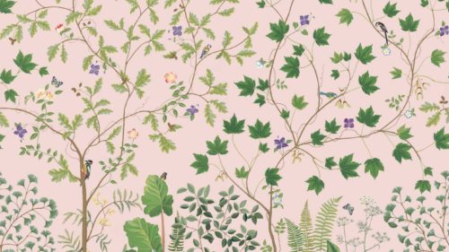 Sycamore And Oak 217213